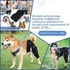 Podpora na psiu nohu Rukáv Pet Kolenná rehabilitačná ortéza Neoprén Celoročná Čierna XS S M L