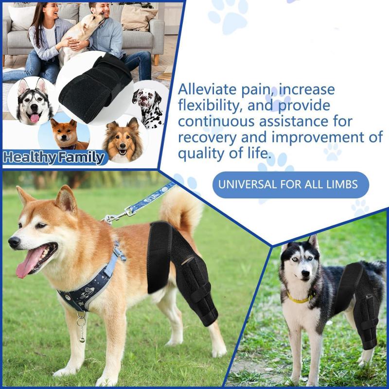 Podpora na psiu nohu Rukáv Pet Kolenná rehabilitačná ortéza Neoprén Celoročná Čierna XS S M L