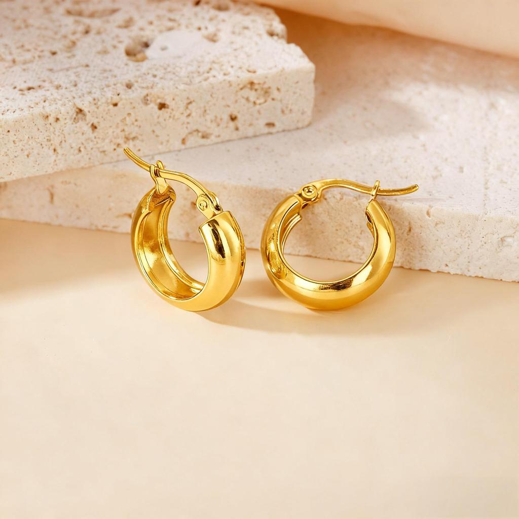 Titanium Steel Light Luxury Colorfast Hoop Earrings with High-End Feel