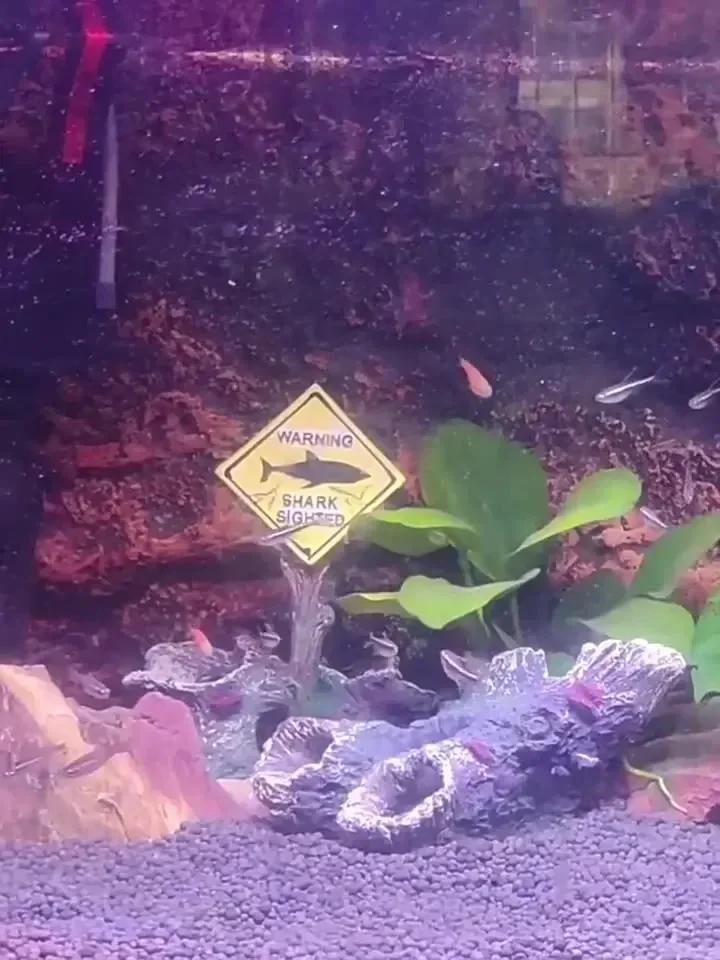 Aquarium Harz Ornamente Dekorative Ornamente Simulierte Hai Warnschilder Fisch Landschaft Zubehör Becken Aquarium Hintergrund
