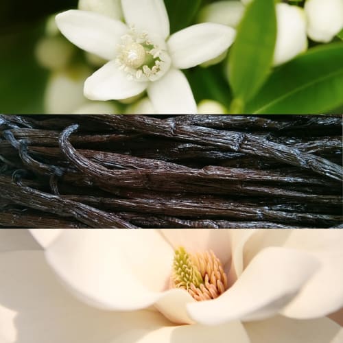 Nuxe Prodigy Oil 50mL