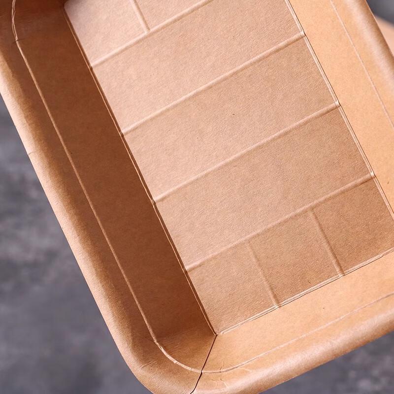 Homeglen Disposable Rectangular Kraft Paper Trays