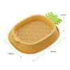 Seed Sprouting Trays Planting Hydroponics Boxes Soilless Hydroponic Cat Grass Case  Pet Supplies