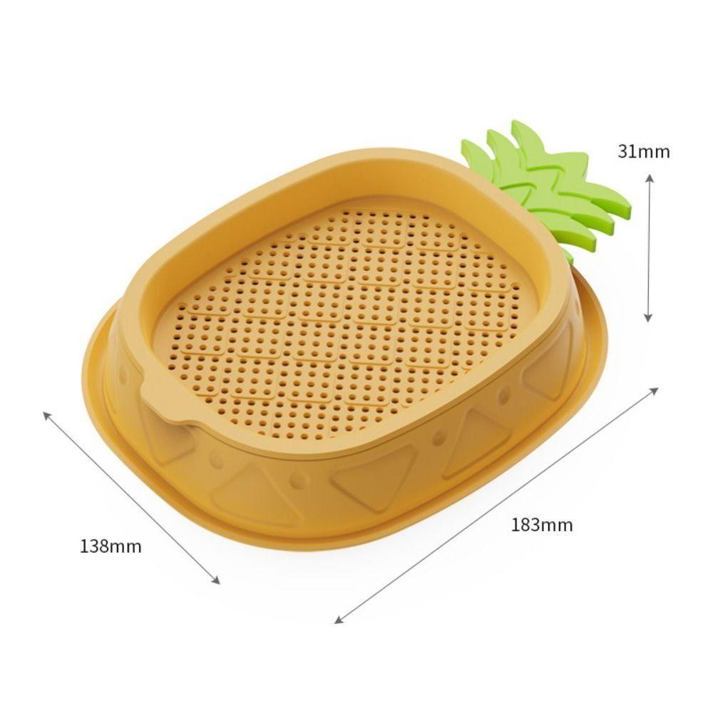 Seed Sprouting Trays Planting Hydroponics Boxes Soilless Hydroponic Cat Grass Case Pet Supplies