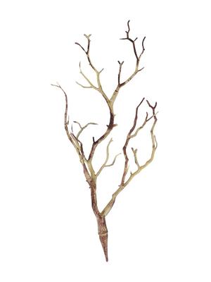Ramas en Forma de Astas Árbol Artificial Ramas No Necesitan Agua Atmósfera Positiva Efecto Visual Único Sensación Fresca y Nueva
