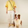 Cães – Colares e correias para cães