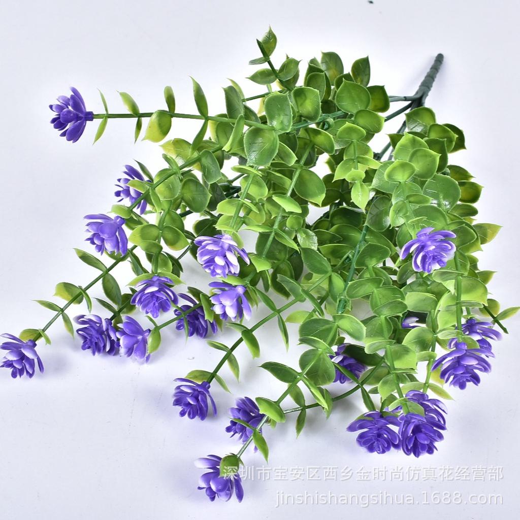 Exquisite kleine Eukalyptusblüten, perfekt zur Verschönerung von Garten- und Wohnräumen