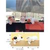 3pcs /set Collectible Kitten Car Ornaments Handmad Pet Cat Landscape Decoration  Desktop Decorative