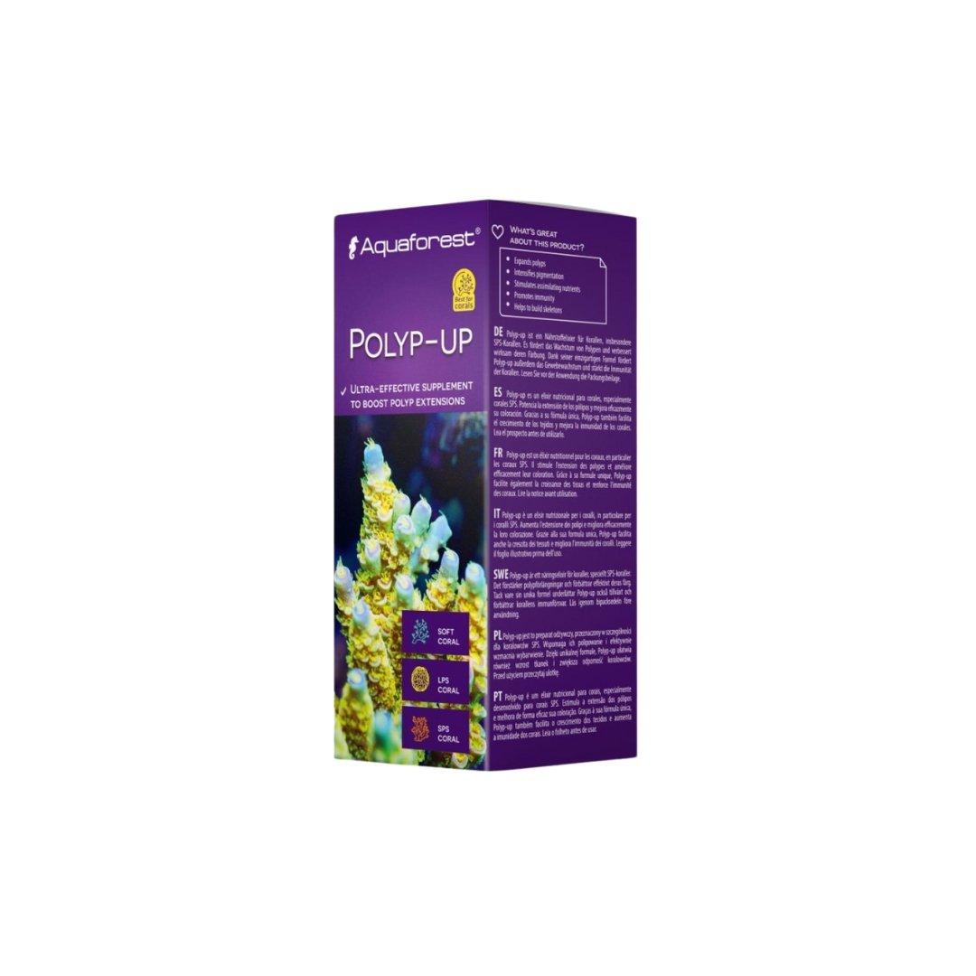 Fauna Marin Phyto C Fytoplanktón
