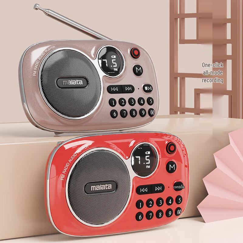 Malata Tragbarer Bluetooth FM Radio Lautsprecher CN-Stecker (Adapter enthalten)