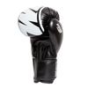 StormCloud Bolt 2.0 Boxing Gloves Black/White 10oz