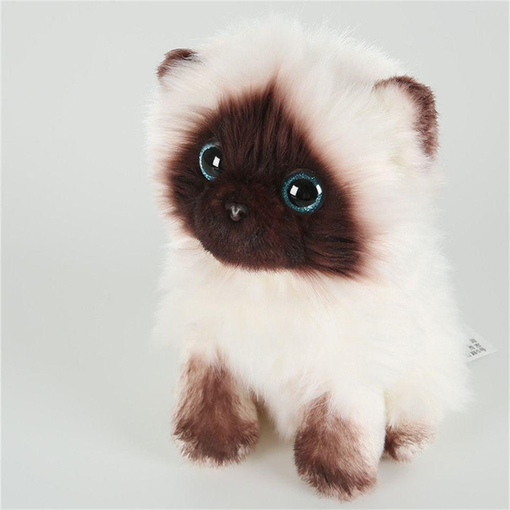 Eyes Simulation Cat 20/26CM Brown and White Stuffed Toys Cat Plush Toy Stuffed Animals Ragdoll Cats