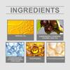 Olio Labbra Idratante AMZ – Lucidalabbra Rimpolpante e Profondamente Idratante