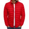 2024 Winter European Men's Stand Collar Cotton Jacket, Solid Color, Plus Size Casual Outerwear