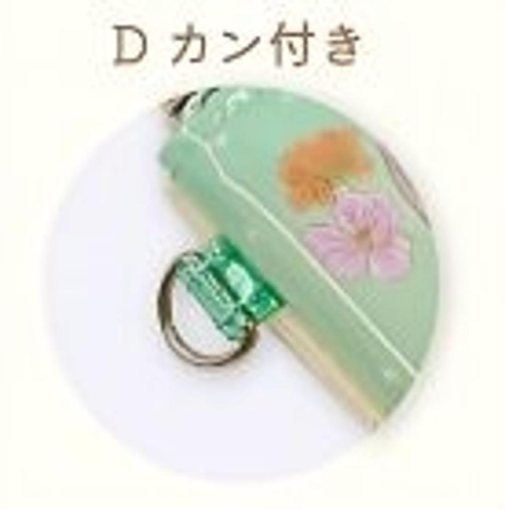 Flat Pouch Flyer Flower Pokemon