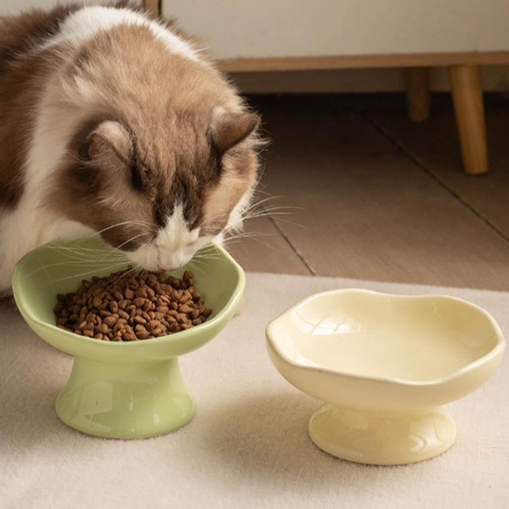 Rutschfester Boden Anti-Kipp-Katzennapf Schräger Winkel Nackenschutznapf Schräger Haustiernapf Senior-Haustiere