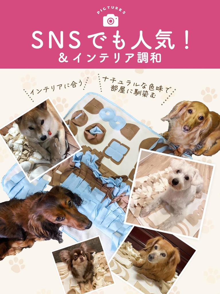 [Recommended by Dog Trainers and Certified by JPPMA] Nose Work Mat (with String Ball) for Dogs | Prevents Eating Too Much and Helps with Smell Trainin