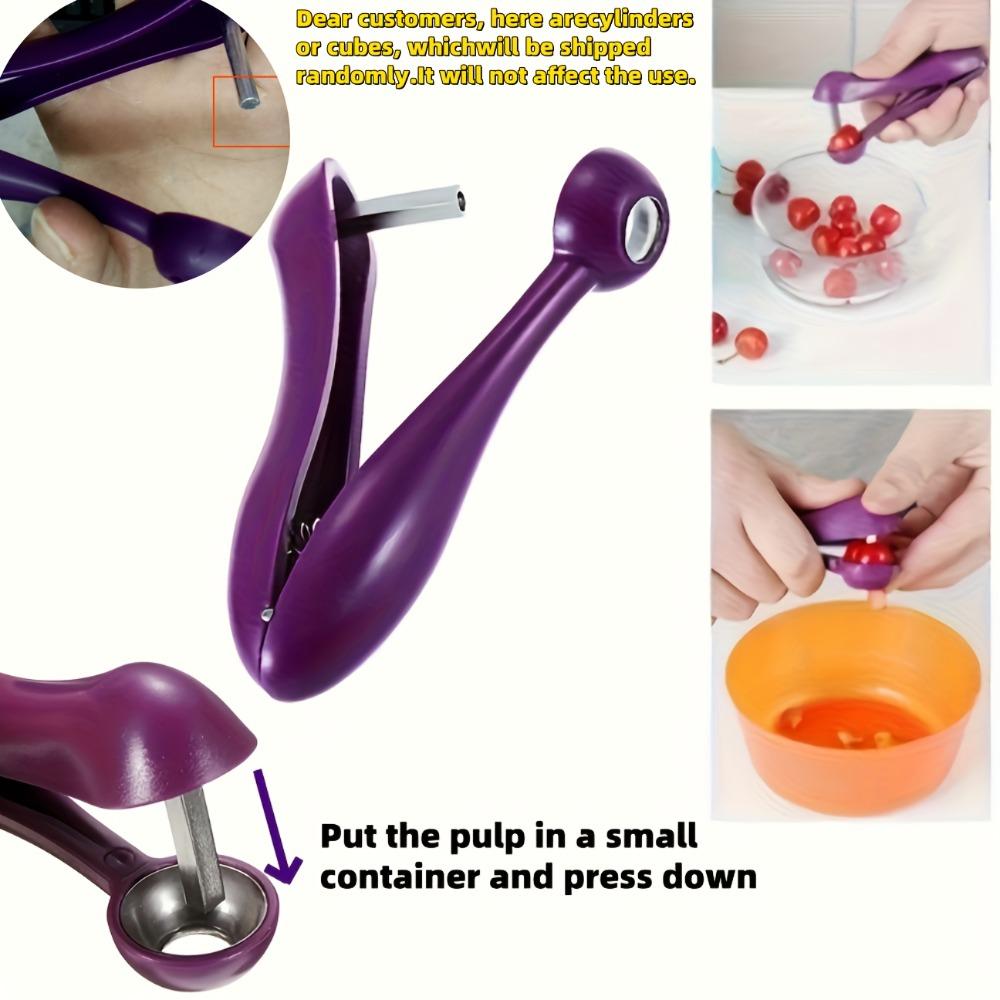 1PC Stainless Steel Fruit Pitting Tool, Easy-to-use Manual Cherry and Date Pitting Tool, Kitchen, Canning, Salads