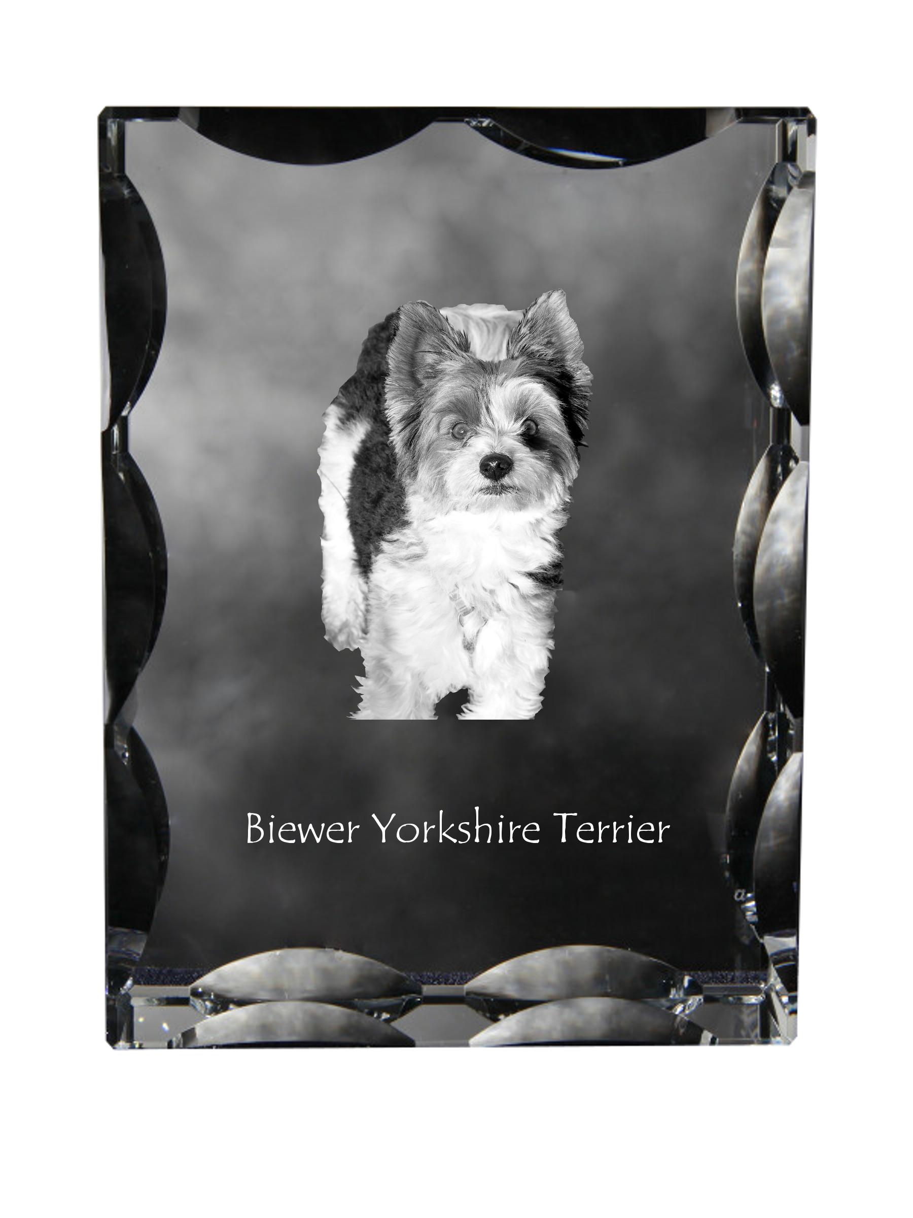 

Biewer Yorkshire Terrier - crystal with a picture of a dog, glass statuette with a picture, unique frame with a picture from Art-Dog brand прозорий
