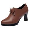 Women's Fashion Retro Single Shoes Platform Pumps Women 2024 Black Leather Shoes Ladies Office Model High Heels