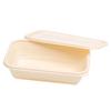 Homeglen Corn Starch Disposable Meal Box