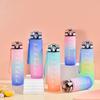 Gradual Color Space Cups Gradient Color Thick Water Bottle for Travel