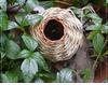 Grass Woven Circular Bird's Nest Outdoor Hanging Decorations Hand Woven DIY Creative Gardening Decoration Bird Cage