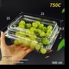 Disposable Plastic Fruit Packaging Boxes