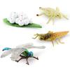 Detaillierte Pvc Insekten- und Tiermodell-Spielzeuge Schnecke Libelle Mücke Grashüpfer Realistische Lebenszyklusstadien