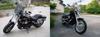 World Walk Universal Windscreen WS-03L Clear (ws-03lc)
