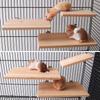 1Pcs Household Pet Wood Stand Platform Bird Toys Parrot Rack Hamster Accessories Suitable Home Pet Parrot Stand Supplies