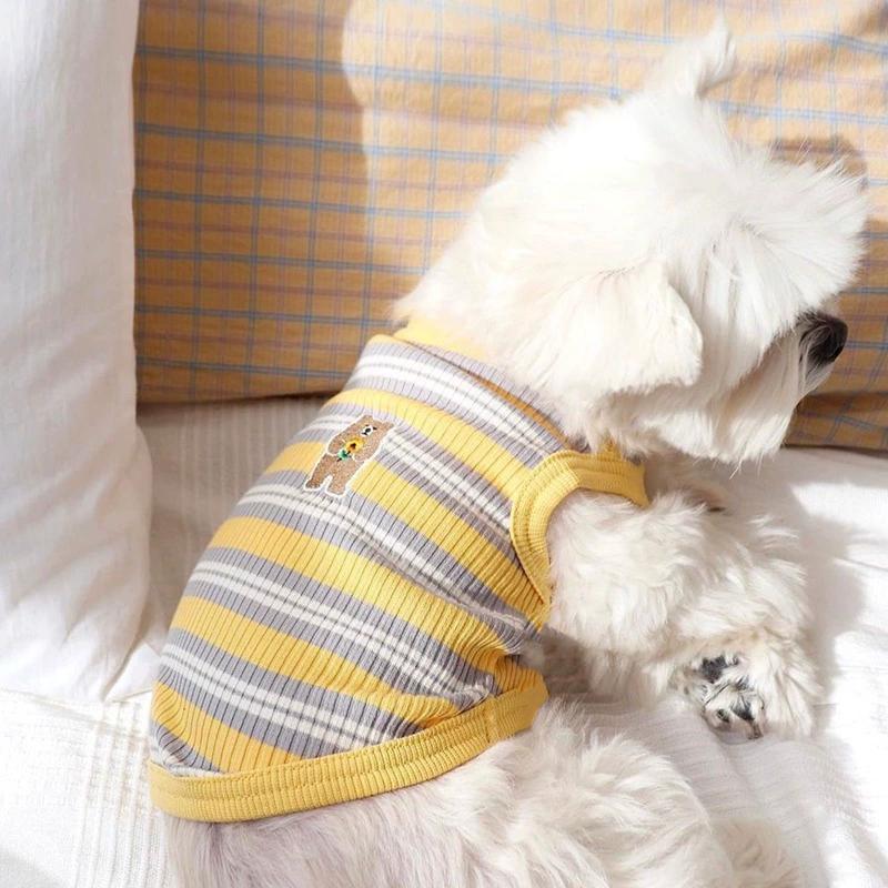 Gilet a Righe Orso Lavorato a Maglia per Cani Primavera ed Estate Abbigliamento Estivo Traspirante Carino a Vento per Gatti a Due Zampe Teddy