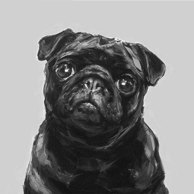 pug home accessories