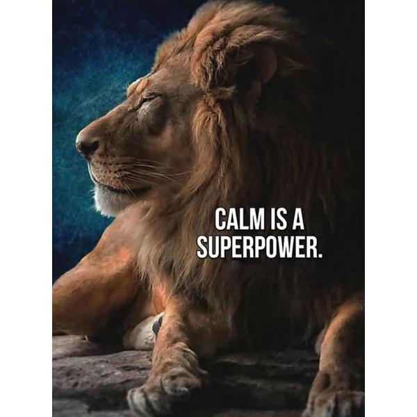 DIY 5D Diamond Painting Ruthless Lion Diamond Mosaic Cross Stitch Kits Home Decoration Full Round Diamond Embroidery