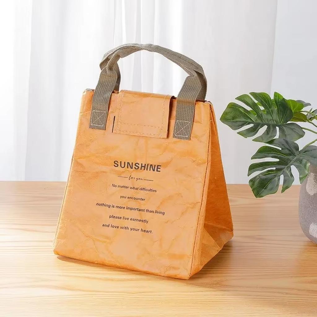 Large Capacity Insulated Lunch Bag, Aluminum Foil Thermal Bento Tote for Work & Food Delivery