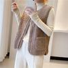 Imitation Lamb Wool Vest Autumn and Winter Fur All-in-one Net Red Vest Short All-match Waistcoat Vest Jacket