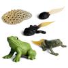 PVC Animal Learning Toy Set