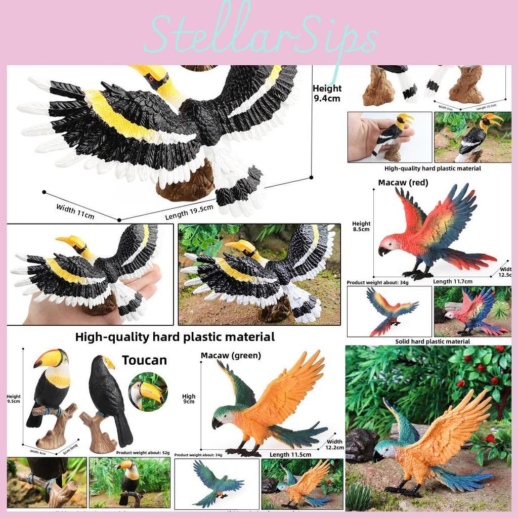 Model Wildlife Animal Solid Plastic Parrot And Hornbill Figures For Gift Kids