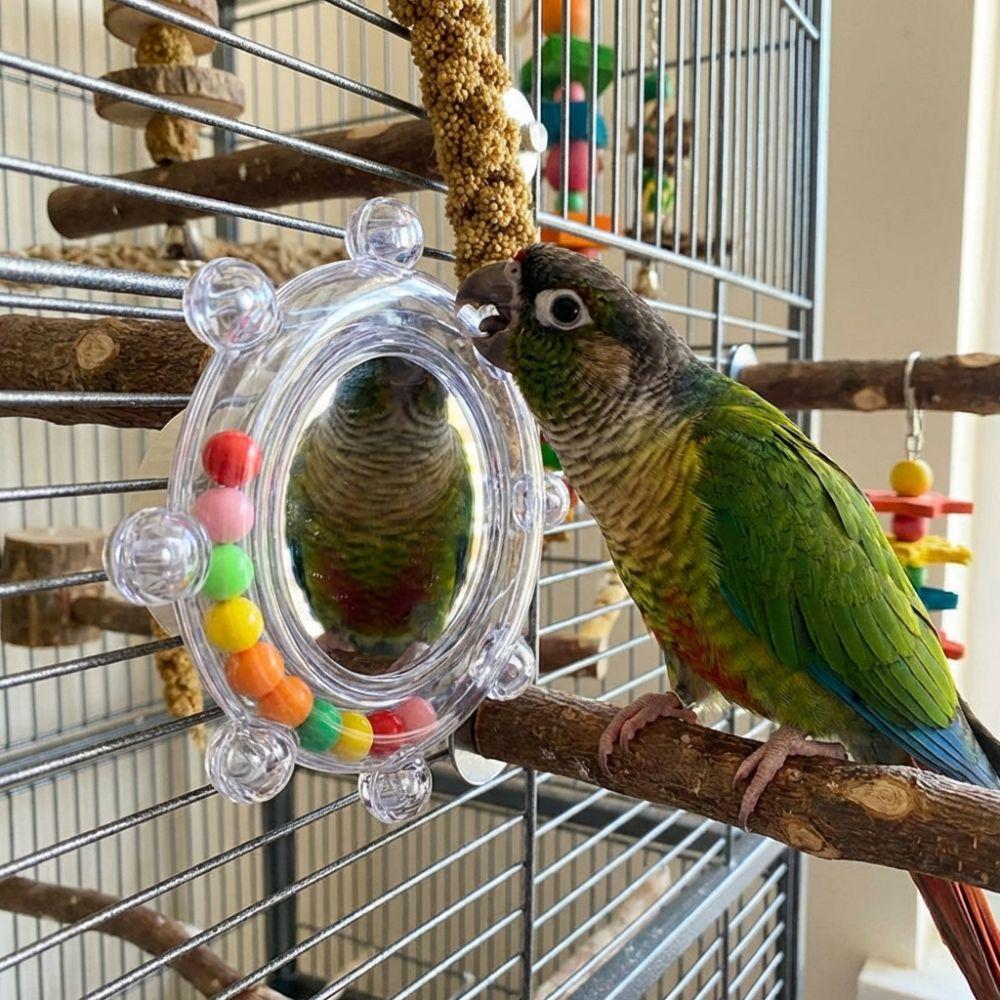 Spinning Puzzle Parrot Mirror Toy Wear-Resisting Parrot Spinning Wheels Small Parrot