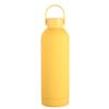 Shangqi Portable Insulated Sports Water Bottle with Handle