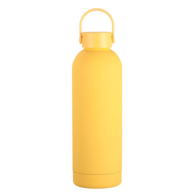 Shangqi Portable Insulated Sports Water Bottle with Handle