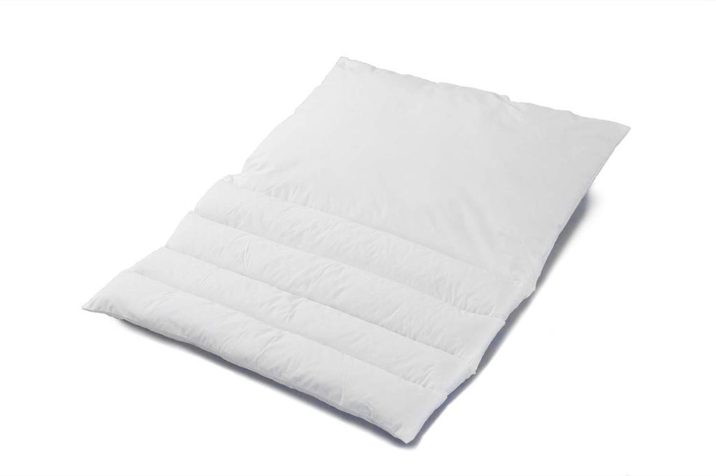 Danfill Pillow Me Pillow Me with Dedicated Pillow Cover JPA213-AKS18-3
