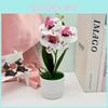 Butterfly Orchid Decorative Artificial Flower For Wedding Arrangements And Photography Sets