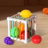 Sensory Development Baby Montessori Sensory Toys Colorful Fruits Sorting Game  Children Girls Boys