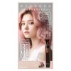 KYOGOKU IROME Hair 24 Gray Hair Salon Partial Dye 1-Pack Color, Colors, Dye, Quasi-Drug, 1-Pack, Hypoallergenic, Exclusive, Self-Color, (Amethyst