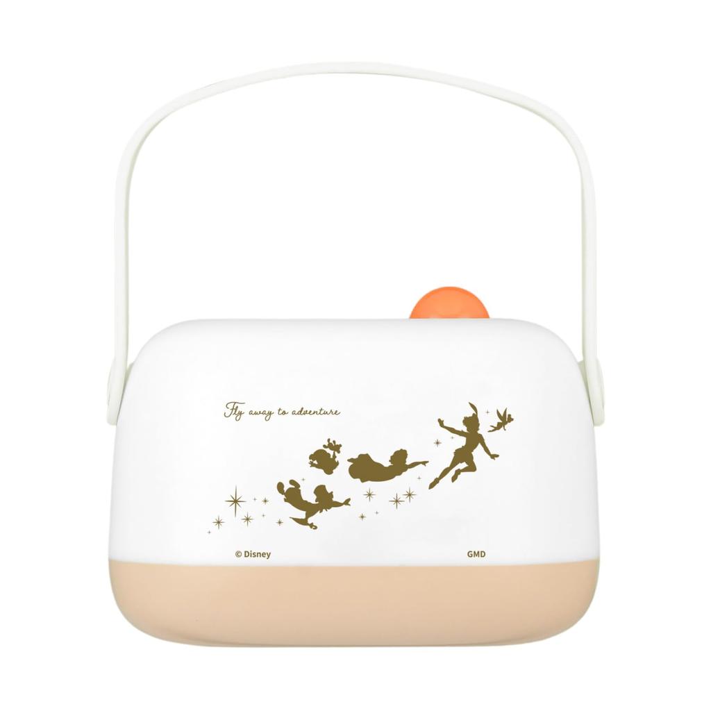 Gourmandies Disney Character LED Room Light Peter Pan / DNG-251PT