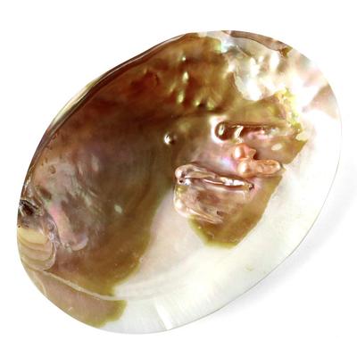 Weißer Salbei viel Glück Reinigungszubehör Australische Hirschgeweih-Perlmuschel [GOLDSTEIN] Reinigung, Amulett, Glück, Waren, Platte, Muschel,