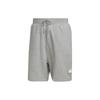 Casual Shorts Men's Gray Moderate HN1932