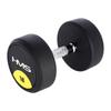 Echipamente de fitness – Gantere