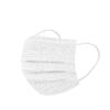 Adult Man Women Rose Mask Disposable  Mask Industrial 3Ply Ear Loop 10PCS Mask